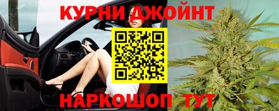 шишки Коммунар