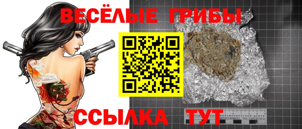 Псилоцибиновые грибы мухоморы Алексин