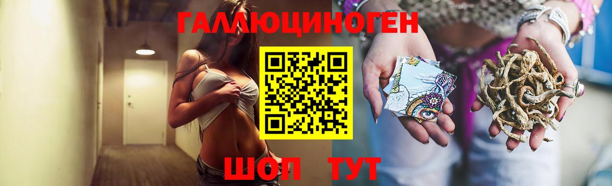 Псилоцибиновые грибы MAGIC MUSHROOMS  Псилоцибиновые грибы Cubensis  Алексин  Вход с VPN 